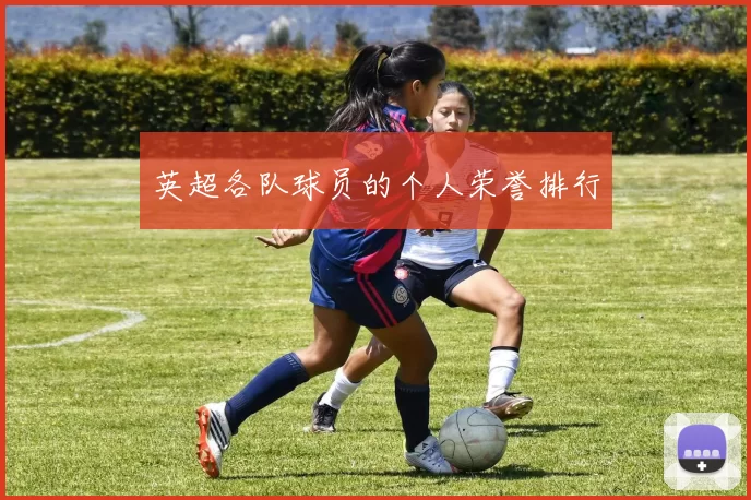 英超各队球员的个人荣誉排行