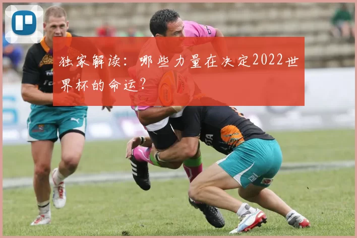 独家解读:哪些力量在决定2022世界杯的命运?