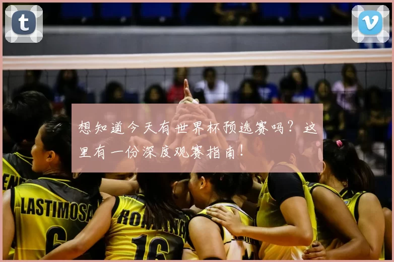 想知道今天有世界杯预选赛吗？这里有一份深度观赛指南！
