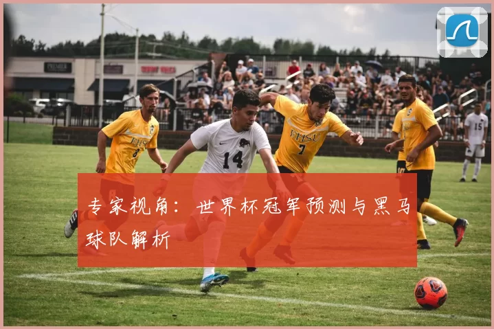 专家视角：世界杯冠军预测与黑马球队解析