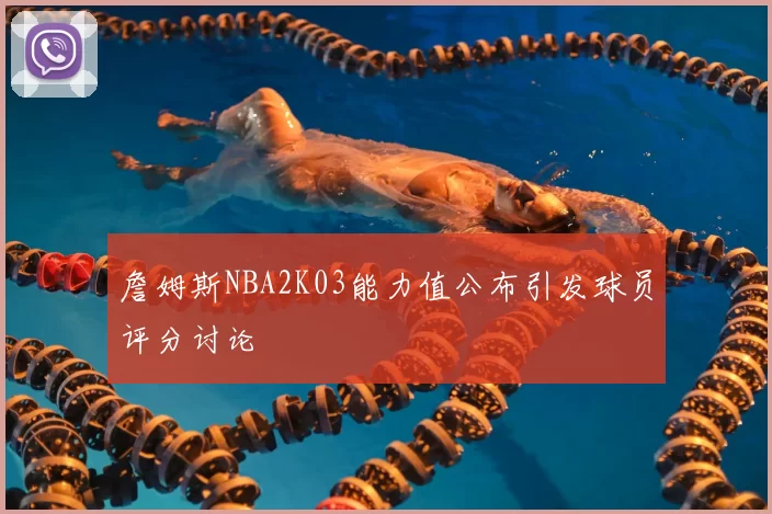 詹姆斯NBA2K03能力值公布引发球员评分讨论