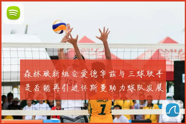 森林狼新组合爱德华兹与三球联手是否能再引进怀斯曼助力球队发展