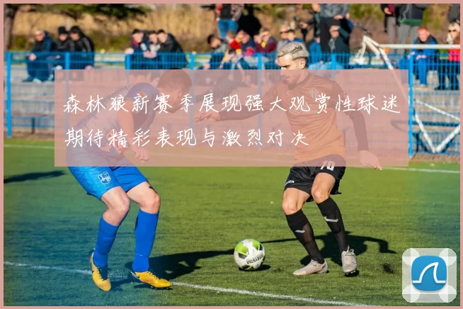 森林狼新赛季展现强大观赏性球迷期待精彩表现与激烈对决