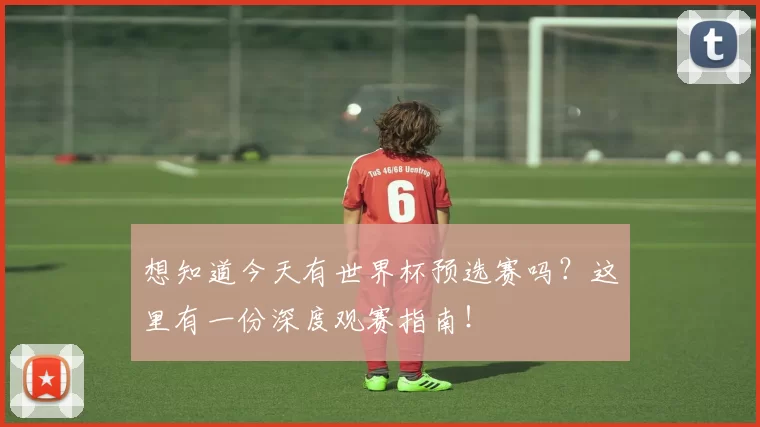 想知道今天有世界杯预选赛吗?这里有一份深度观赛指南!