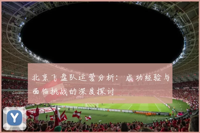 北京飞盘队运营分析：成功经验与面临挑战的深度探讨